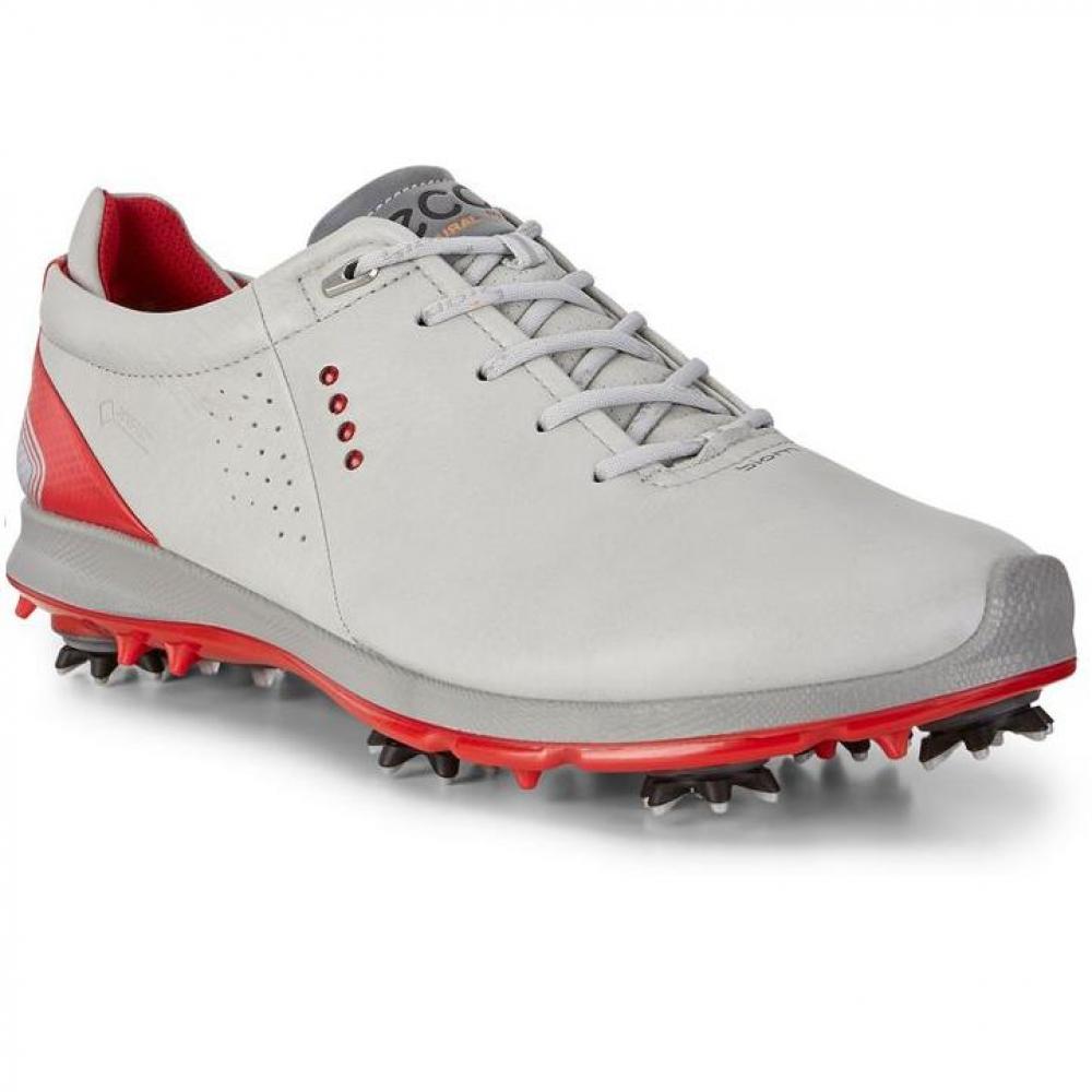 Ecco Biom 2018 HYBRID 2