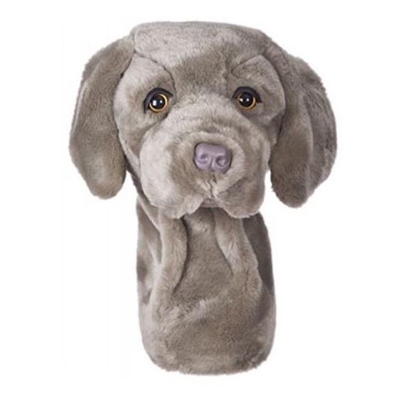 Headocover • Wyżeł Weimarski